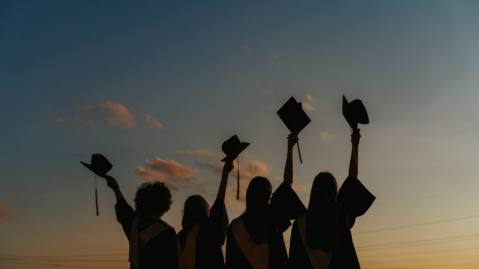 Graduate programmes